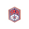SKA metal pin "Hexagon"