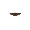 Small pin "Wings"