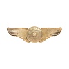 Значок "Щит" крылья 