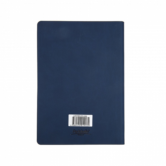 SKA undated diary (145х210 cm)