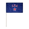 Флаг СКА синий 30х50 см