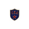 SKA pin "Blue shield "