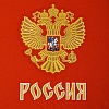 Свитер детский Сборная России (Красный)