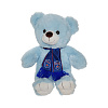 SKA Teddy bear with scarf