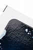 Виниловая наклейка СКА «Логотип» для задней панели Iphone 4/4S