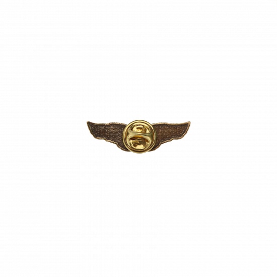 Small pin "Wings"