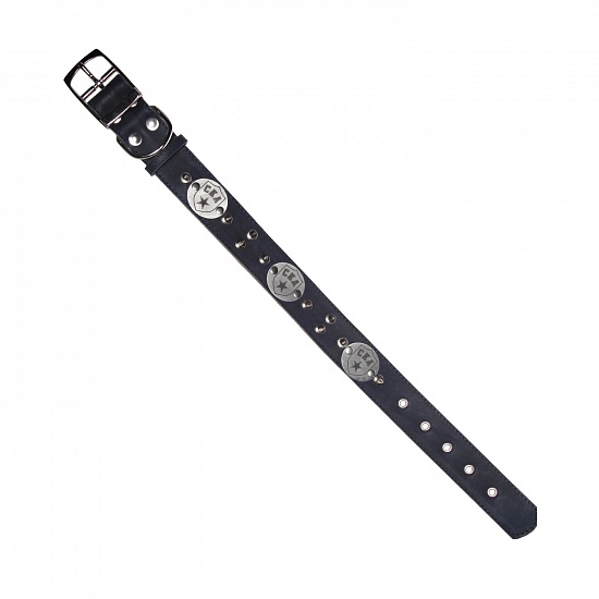 SKA leather dog-collar with spikes (42-59 cm)